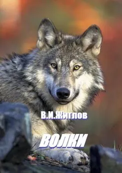 В. Жиглов - Волки