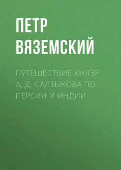 Петр Вяземский - Путешествие князя А. Д. Салтыкова по Персии и Индии