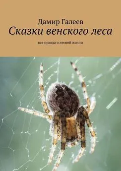 Дамир Галеев - Сказки венского леса. Вся правда о лесной жизни