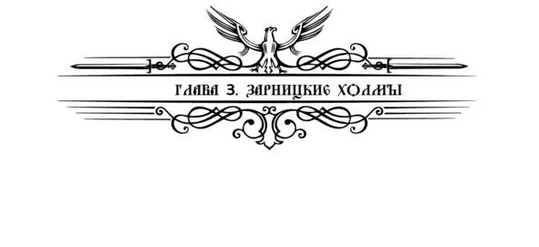 После разговора с князем Очеслав сразу отправился в пределы священной поляны - фото 5