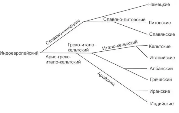 Рис2 Схема разделения ветвей индоевропейских языков А Шлейхера Большинство - фото 2