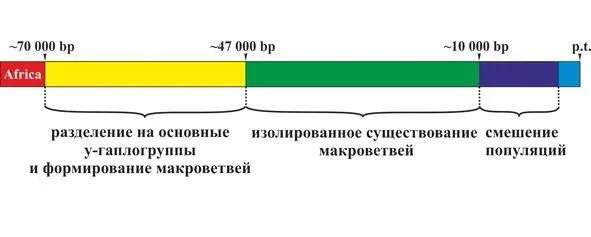 Рис23 Этапы развития языков Основной идеей теории сдвигов согласных звуков - фото 23