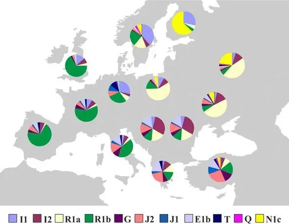 Рис3 Структура угаплогрупп современных европейских популяций Хотя среди них - фото 3