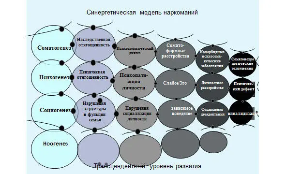 Рис 1 Синергетическая модель зависимостей В нашей клинике помимо - фото 1