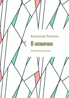 Владимир Липилин - В ножички. Короткие рассказы