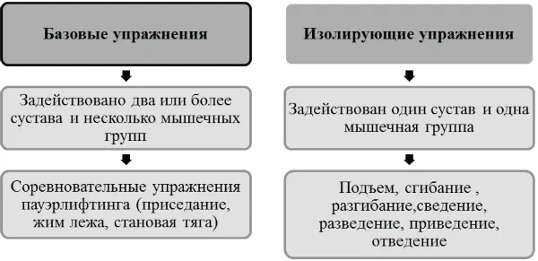 Рис 3 Классификация упражнения в пауэрлифтинге В своей работе Бурмистров - фото 5