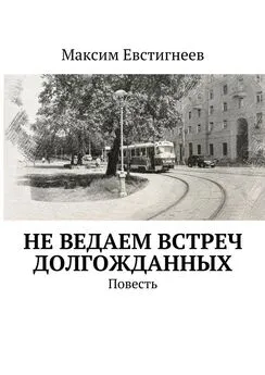 Максим Евстигнеев - Не ведаем встреч долгожданных. Повесть