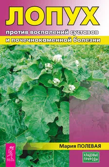 Мария Полевая - Лопух против воспалений суставов и почечнокаменной болезни