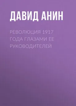 Давид Анин - Революция 1917 года глазами ее руководителей