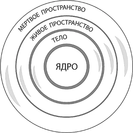 Рис 1 Структура будхиального тела и эгрегора Энергию высшие слои разума - фото 3
