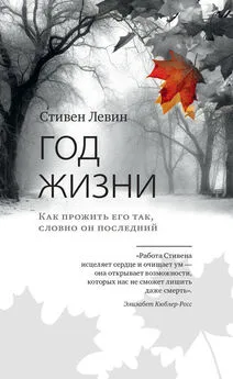 Стивен Левин - Год жизни. Как прожить его так, словно он последний