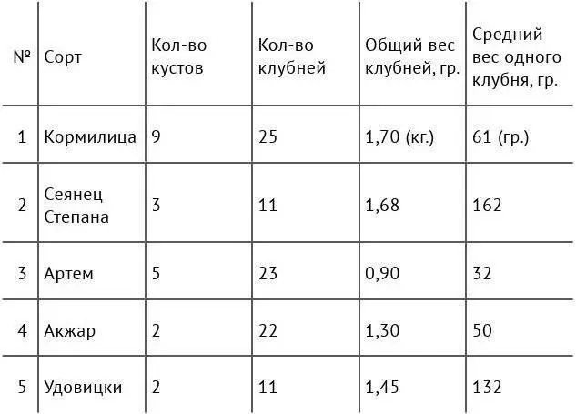 Весной этого года высадил другую партию одиннадцать сортов выбрал для них уже - фото 19