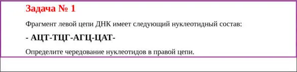 Решение задачи 1 Молекула ДНК состоит из двух цепей построенных по принципу - фото 1