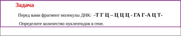 Решение задачи Как уже неоднократно упоминалось молекула ДНК состоит из двух - фото 12