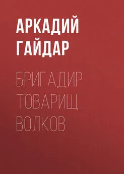 Аркадий Гайдар - Бригадир товарищ Волков