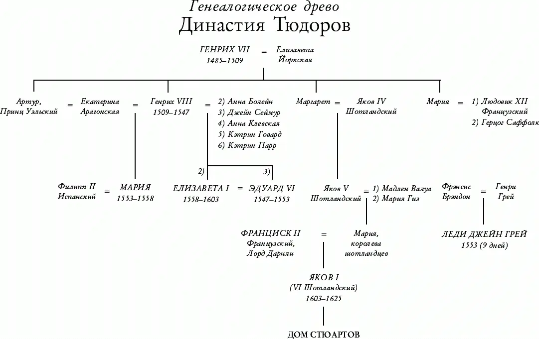 Предисловие В конце своего правления Елизавета I жестоко страдала Ее лицо и - фото 1