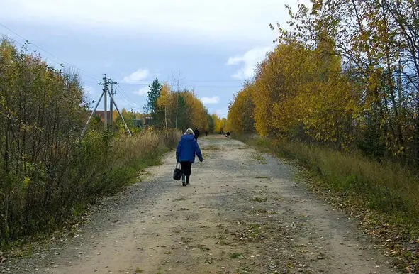 Эх дорога эх железка Электричка из Тамбова Ой оказывается не - фото 1