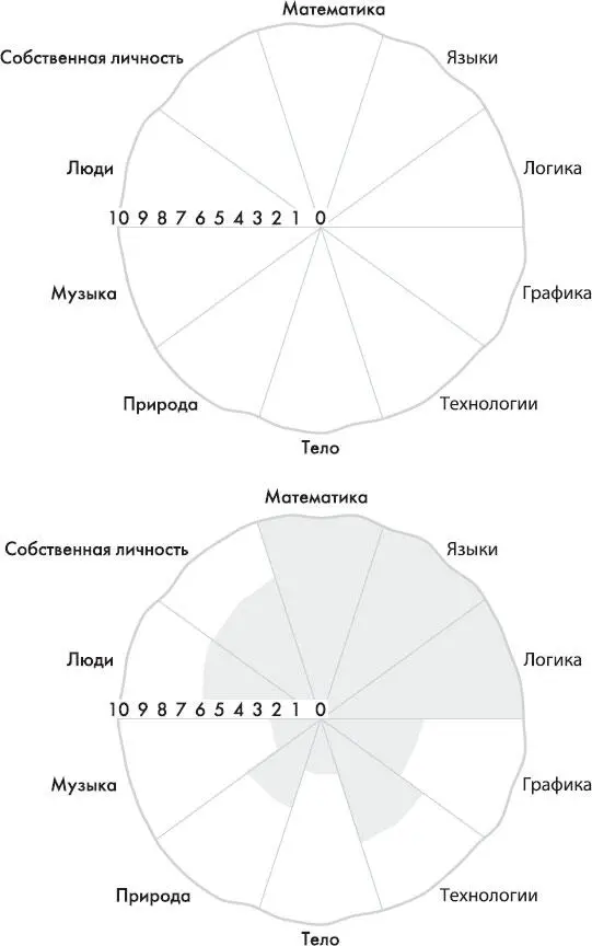 Круговая диаграмма интеллекта Возможно вам также захочется составить еще одну - фото 15
