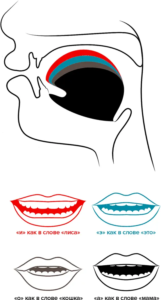 Оптимальное положение рта и языка при произнесении четырех простейших гласных - фото 20