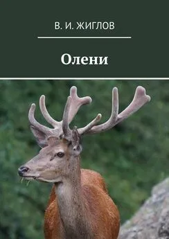 В. Жиглов - Олени