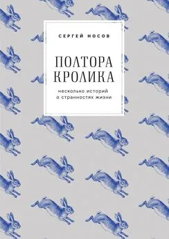 Сергей Носов - Полтора кролика. Несколько историй о странностях жизни