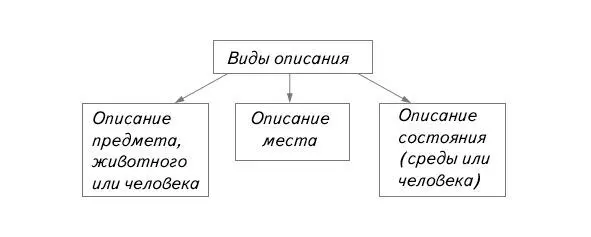 Текстыописания бывают разные в зависимости от того одушевленный или - фото 2