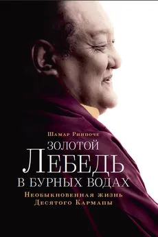 Шамар Ринпоче - Золотой лебедь в бурных водах. Необыкновенная жизнь Десятого Кармапы