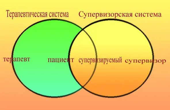 Рисунок 1 Шестифокусная модель Терапевтическая система Фокус на пациенте - фото 4