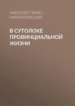 Николай Гарин-Михайловский - В сутолоке провинциальной жизни