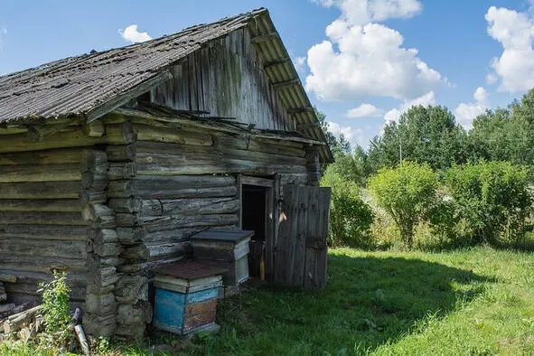 Я тут не проходила и местность мне не знакома ответила Таня Что будем - фото 5