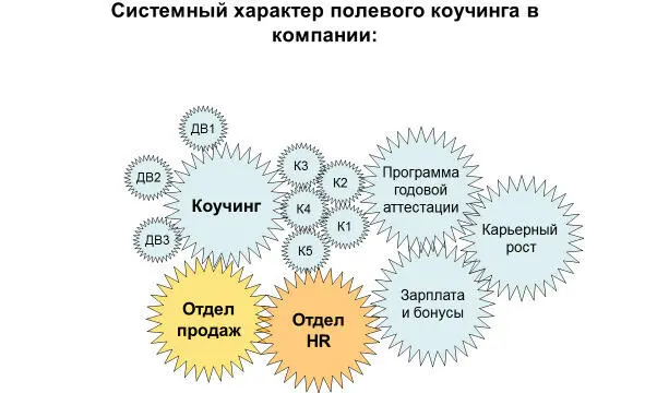 Упрощенным пониманием полевого коучинга было бы только проведение менеджером - фото 3