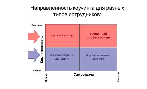 Первый вектор обозначен синим цветом показывает что основной целью коучинга - фото 8