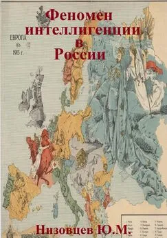 Юрий Низовцев - Феномен интеллигенции в России