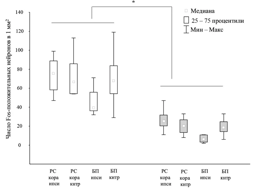 Рис 3Распределение нейрогенетических изменений оцениваемых по белку Fos в - фото 4