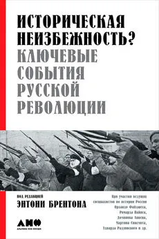 Коллектив авторов - Историческая неизбежность? Ключевые события русской революции