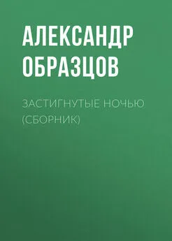 Александр Образцов - Застигнутые ночью (сборник)