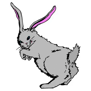 Существует небольшое ответвление в поверьях о кроликах что он или его часть - фото 1