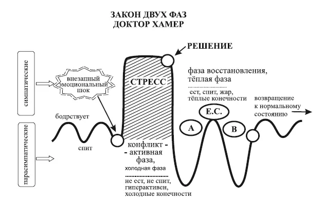 Конфликт активная фаза Критическим для понимания паттерна болезни является - фото 7