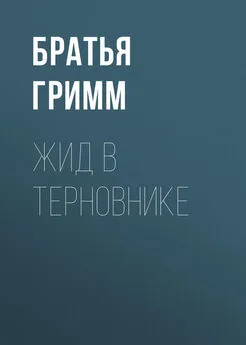 Якоб и Вильгельм Гримм - Жид в терновнике