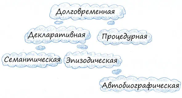 1101 Количество информации Гамильтон и горох На рубеже XIX XX вв - фото 12