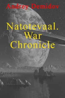 Андрей Демидов - Natotevaal. War Chronicle