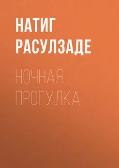 Натиг Расулзаде - Ночная прогулка