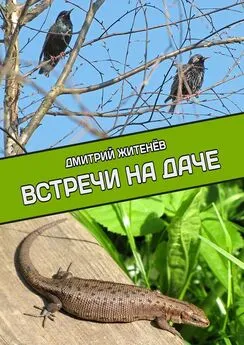 Дмитрий Житенёв - Встречи на даче