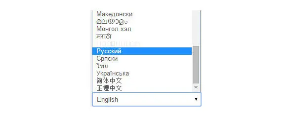Раскройте выпадающий список и найдите Русский язык После того как сайт - фото 13
