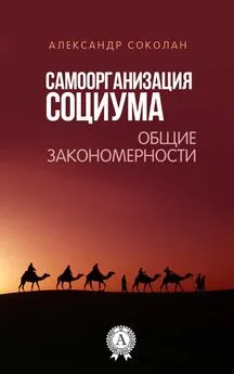 Александр Соколан - Самоорганизация социума. Общие закономерности