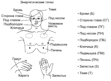 На следующих страницах вы найдете подробное описание энергетическихмеридианных - фото 8