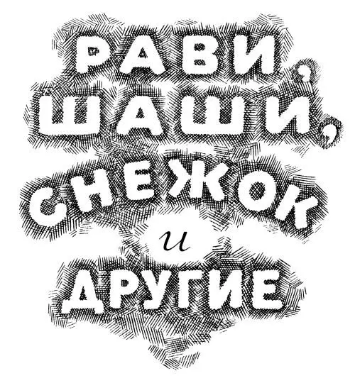 Сергей Баруздин Рави Шаши Снежок и другие рассказы о животных Пчелиная - фото 1