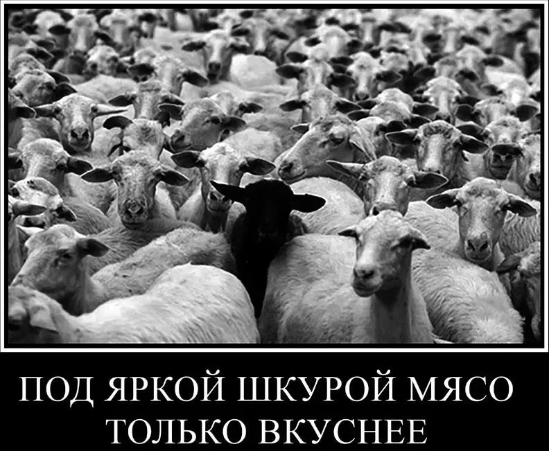 От Бари Алибасова Друзья 10 лет мне казалось что я занимаюсь бизнесом Ан - фото 1