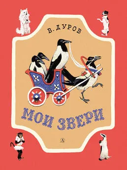 Владимир Дуров - Мои звери (сборник)