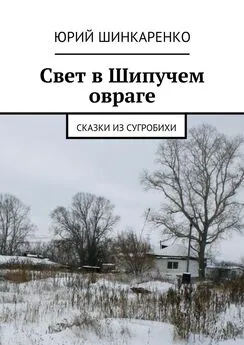 Юрий Шинкаренко - Свет в Шипучем овраге. Сказки из Сугробихи